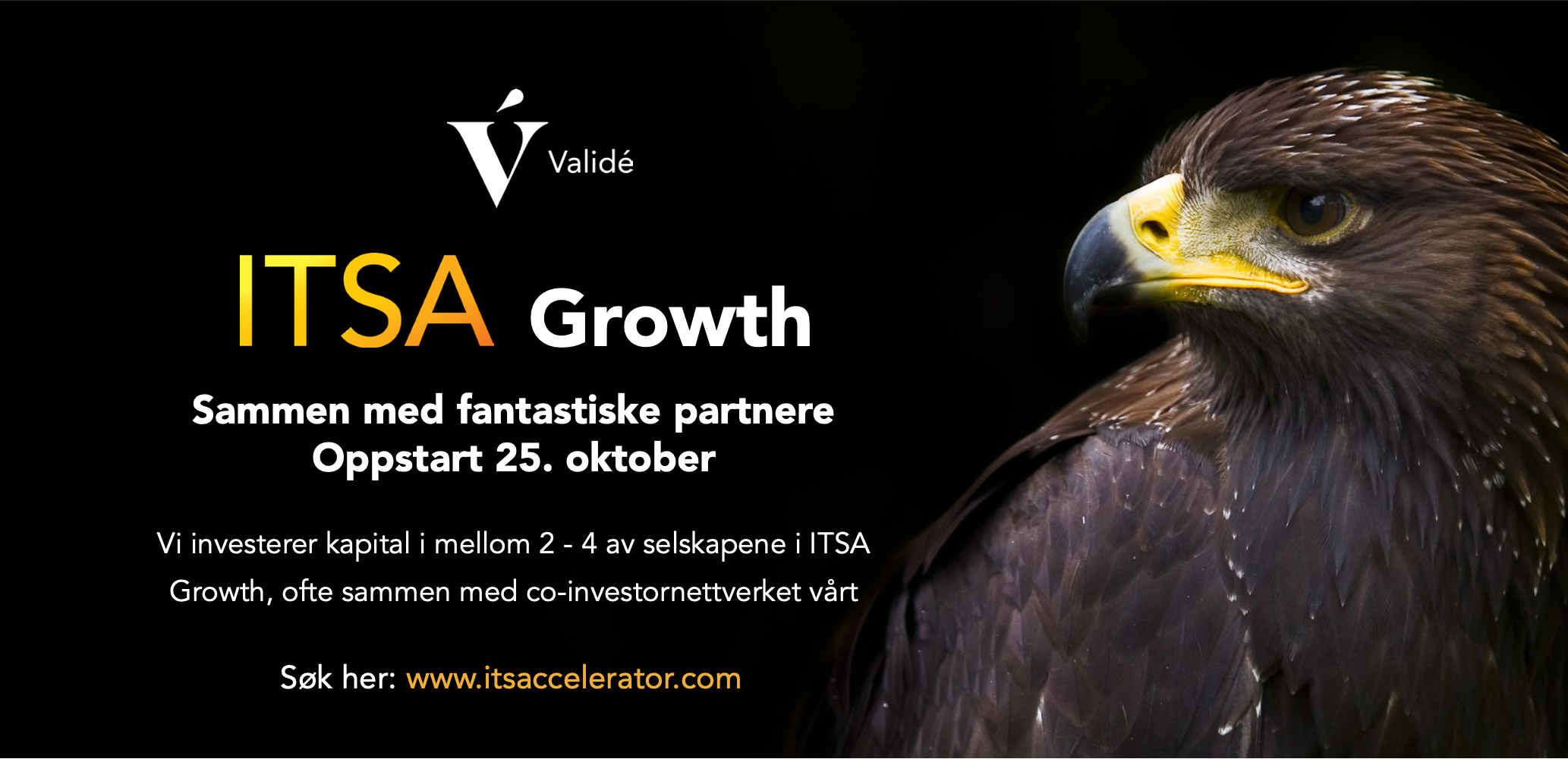 ITSA Growth promo 2022