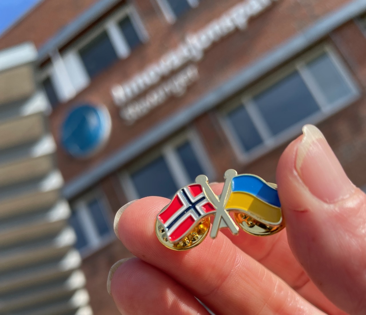 Norge Ukrania flagg