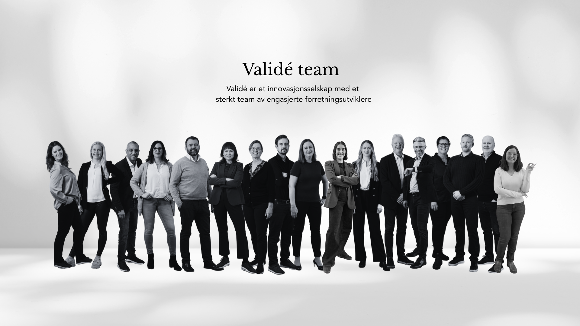 Validé ansatte collage 2026 bakgrunn og tittel