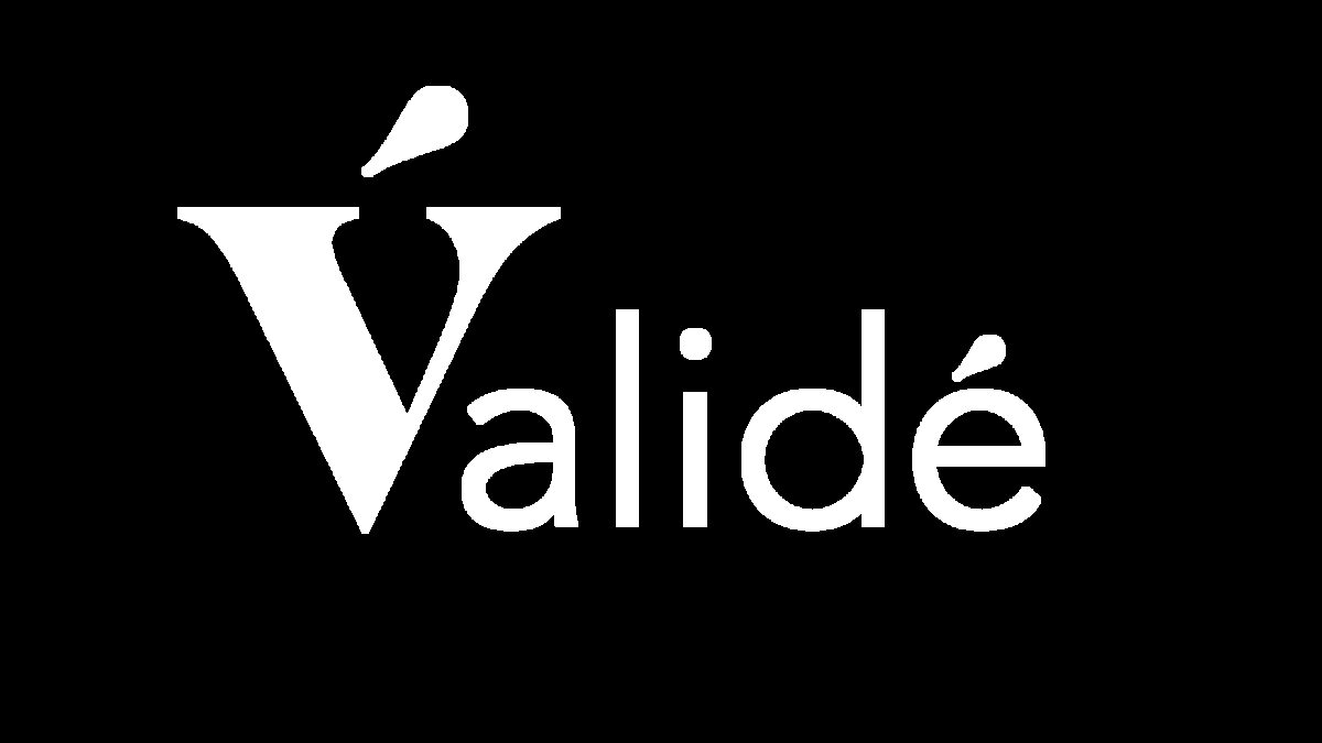 Valide logo white