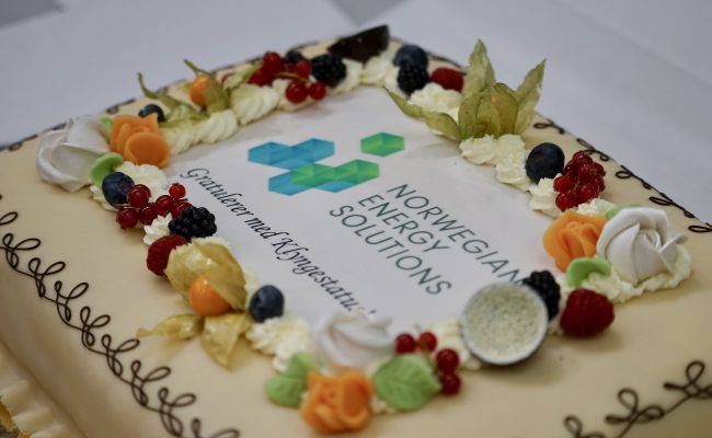 Nes Kake 7