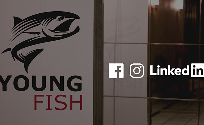 Young Fish