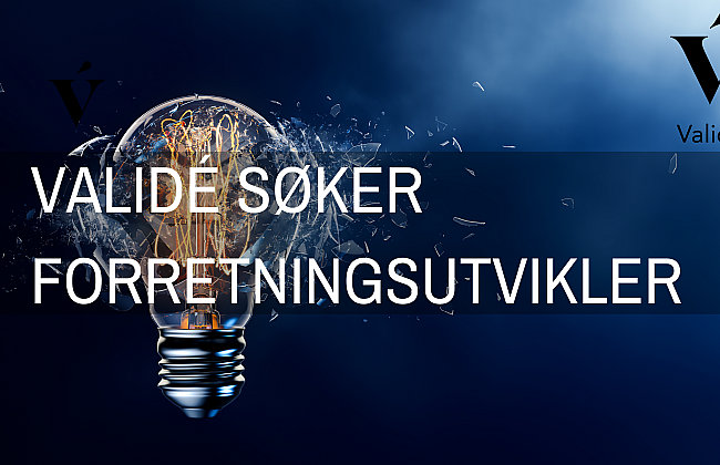 Forretningsutvikler illustrasjon