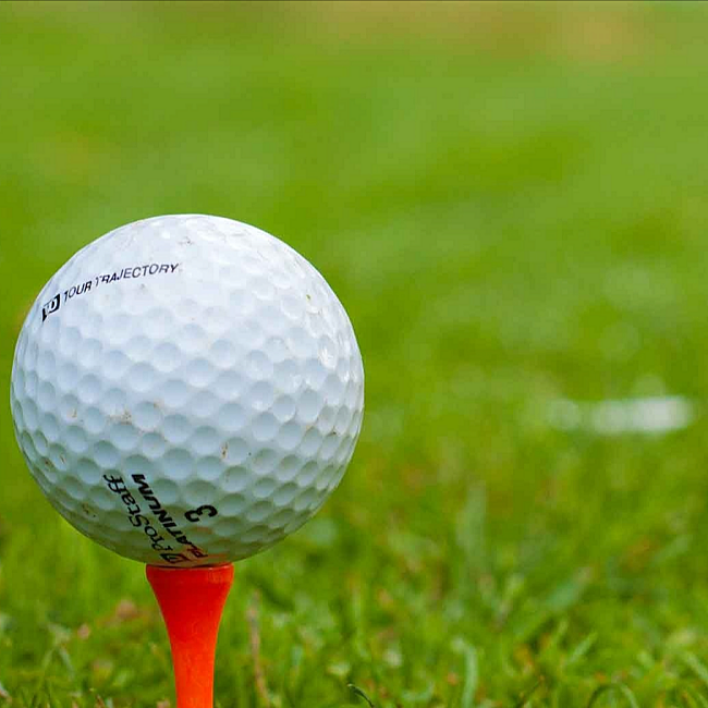 Golf Turfpal foto kenny holmes
