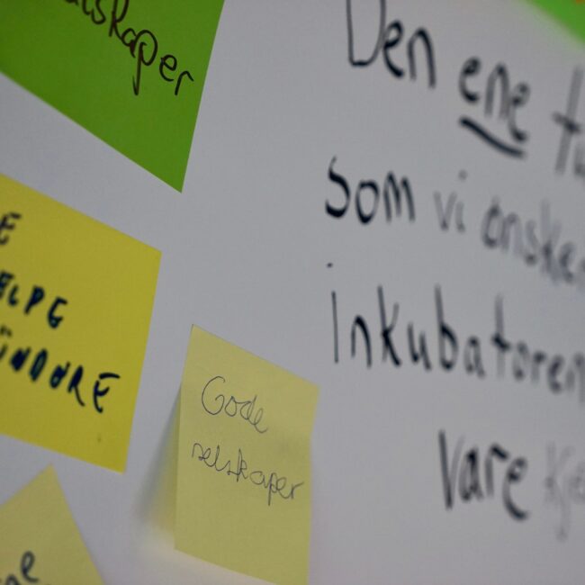 Norsk helsekonsortium