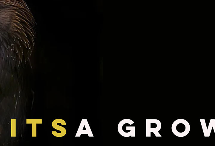 ITSA Growth nr 5