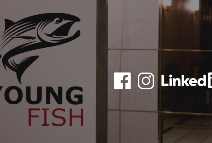 Young Fish