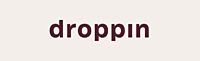 Droppin Logo
