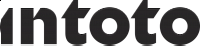 Intoto logo